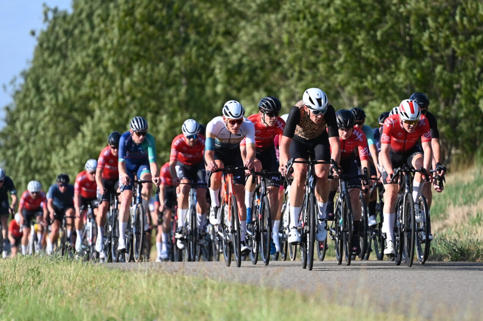 511294222-3148816315283882-1993531018199575792-n